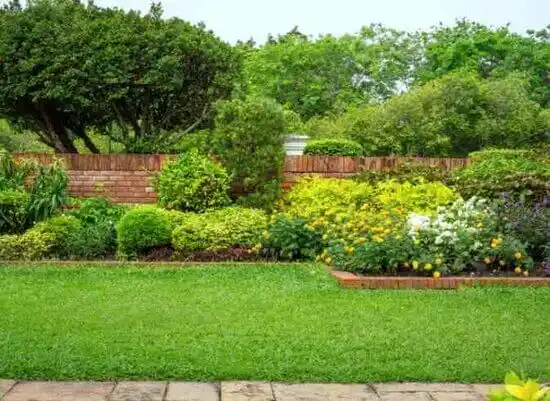 landscaping services Wake Forest